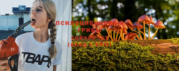 spice Алексеевка