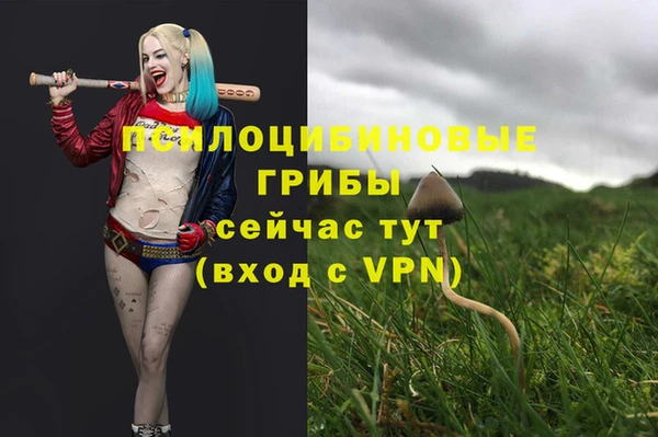 стафф Алексин