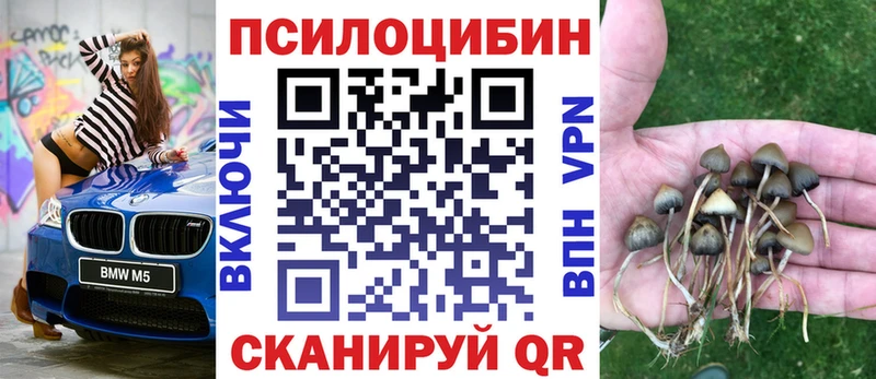 как найти закладки  Узловая  Псилоцибиновые грибы GOLDEN TEACHER 